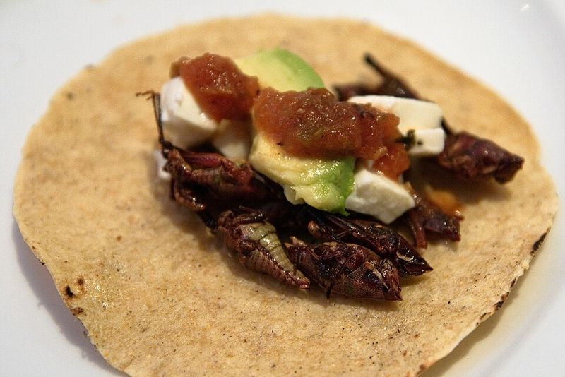 taco